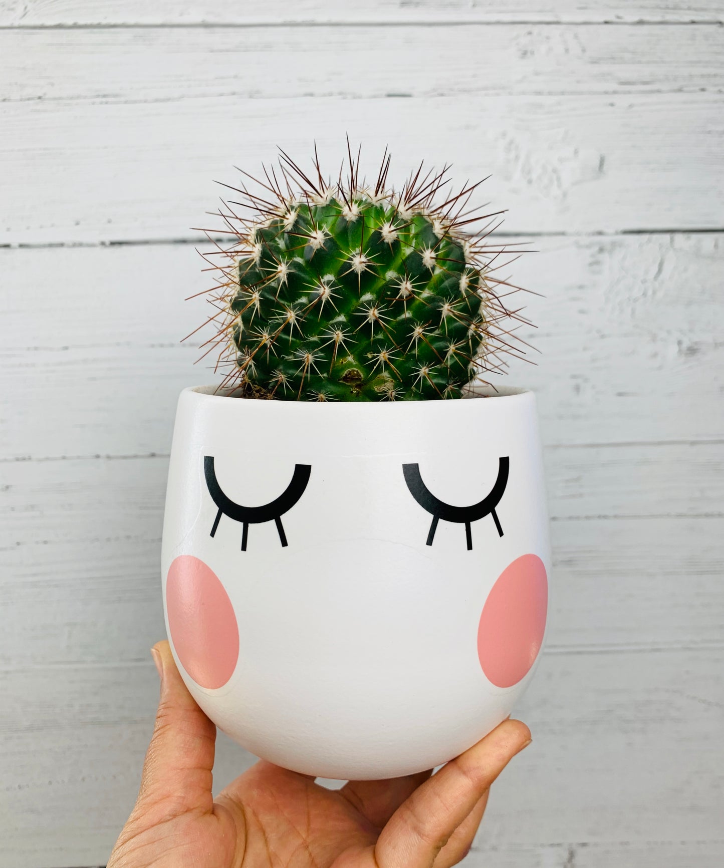 Blue Birdies Transfer Set