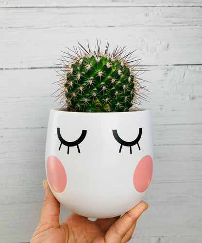 Blue Birdies Transfer Set