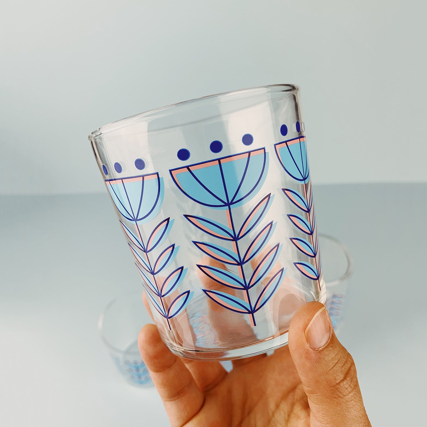 Blue Birdies Transfer Set